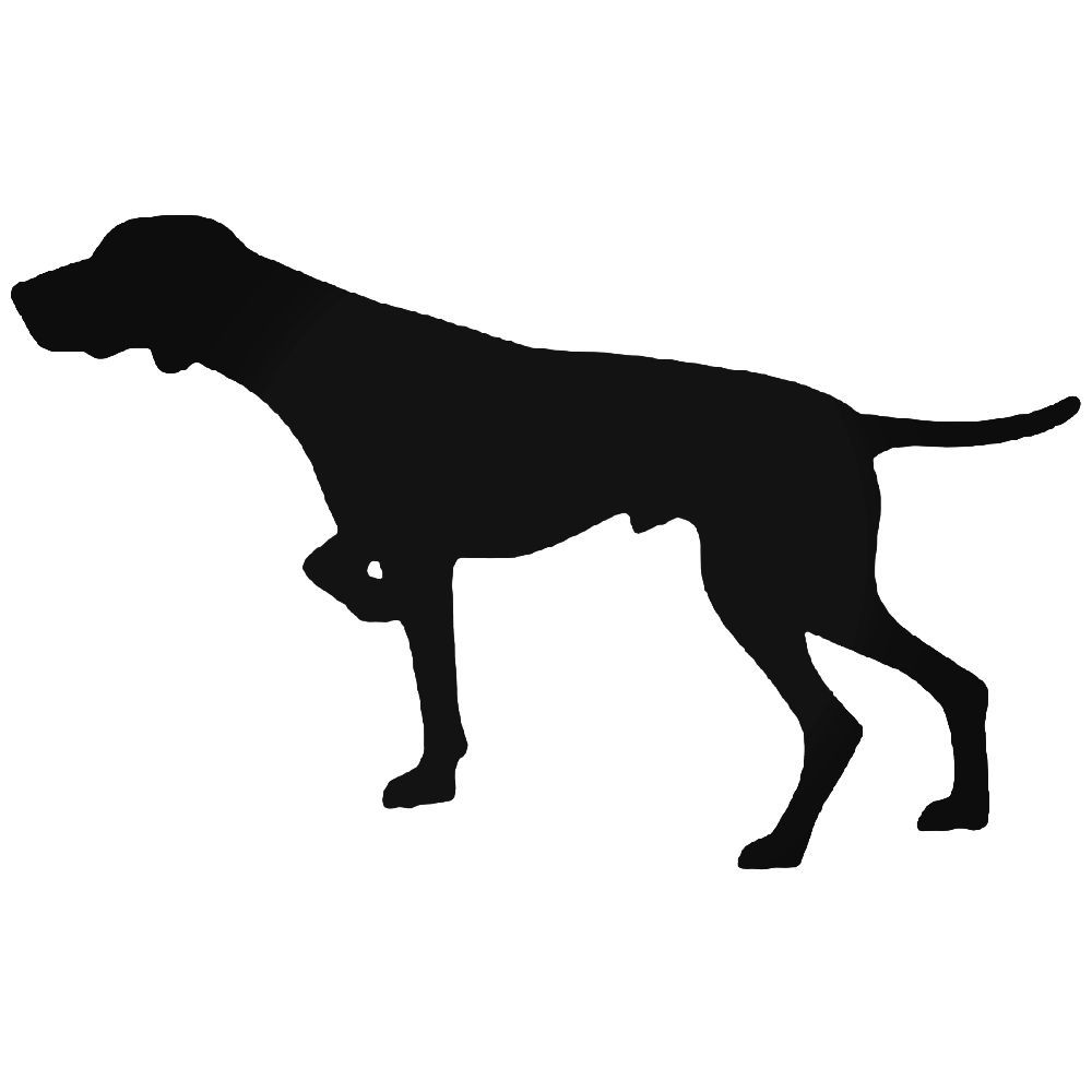 1000x1000 German Shorthaired Pointer Dog Sticker
