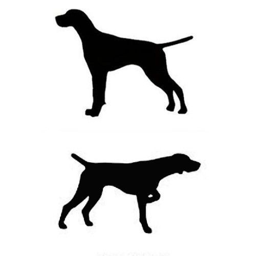 500x500 German Shorthaired Pointer Clipart