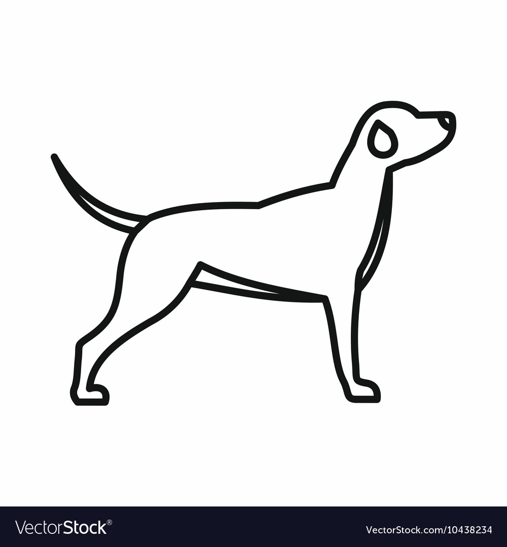 1000x1080 Huge Collection Of 'hunting Dogs Drawing' Download More Than