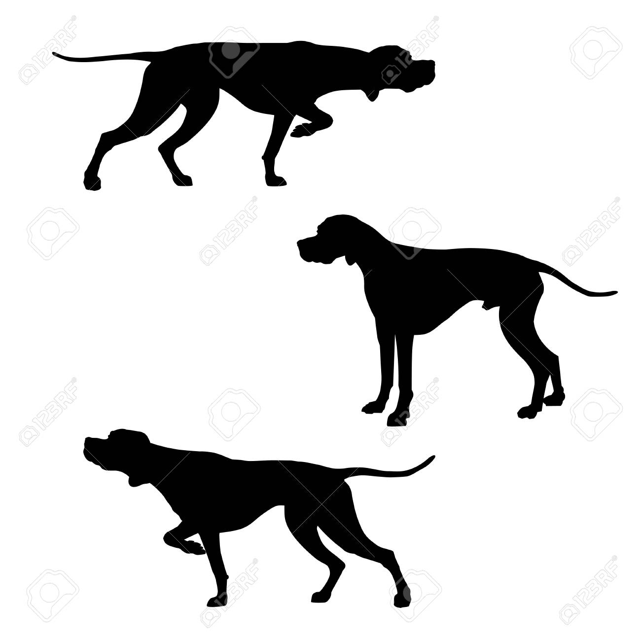 1300x1300 Huge Collection Of 'pointer Dog Silhouette' Download More Than