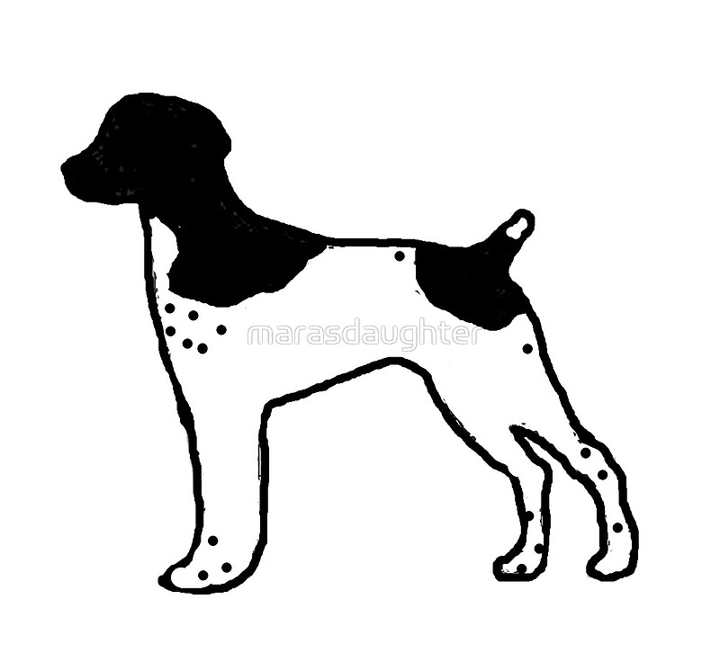 800x726 German Shorthaired Pointer Black And White Silhouette