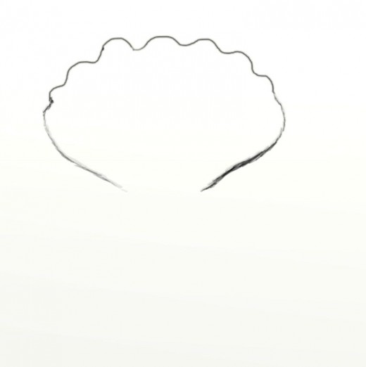 520x522 How To Draw A Clam Feltmagnet