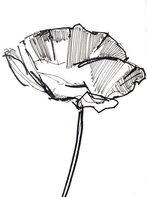 474x632 Image Result For Easy Sketches Of Flowers Flowers