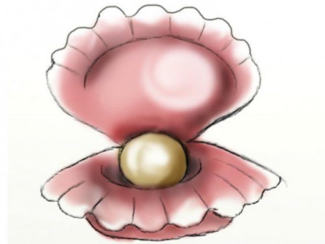 640x480 mussels clipart giant clam