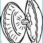 151x151 Oyster Coloring