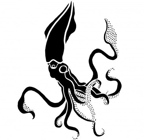 500x488 Giant Squid Wall Stencil, Reusable, Easy Diy Stenciling Home Decor