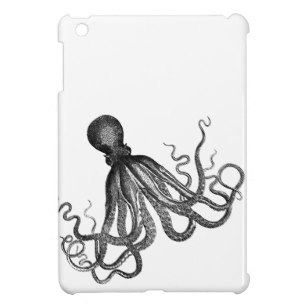 307x307 Giant Squid Drawing Gifts On Zazzle Au