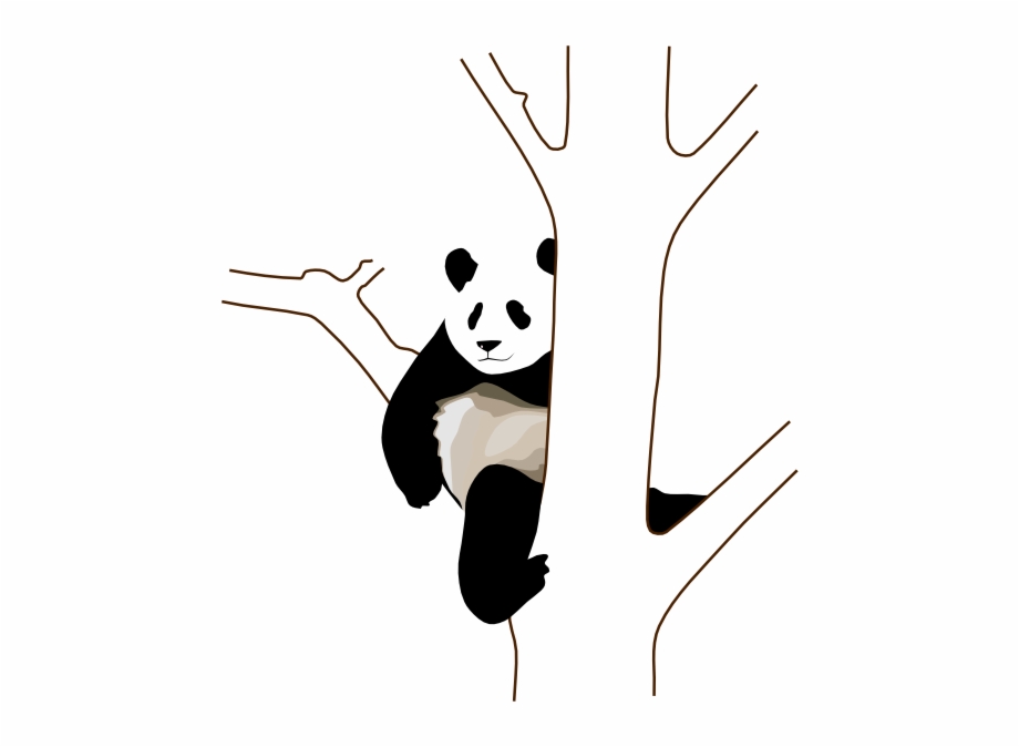 920x674 Panda Drawing On A Tree Free Png Images Clipart Download
