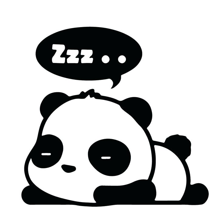 736x736 Cartoon Drawings Of Pandas