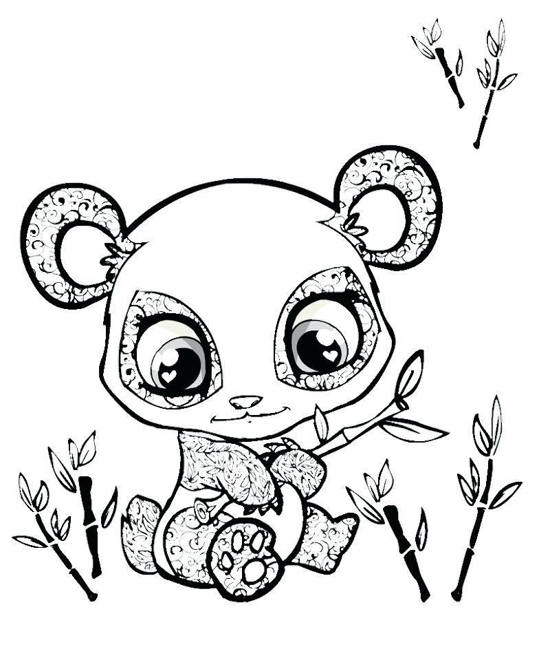 800x943 Drawing Of Panda Bear Giant Panda Bear Cuteness Drawing Red Panda