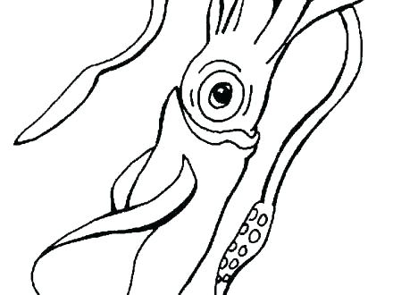 440x330 Coloring Pages For Kids Free Unicorn Adults To Print Squid