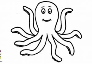 300x210 Easy How To Draw Sea Animals Step