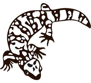 Gila Monster Drawing | Free download on ClipArtMag