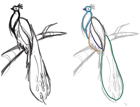 480x367 easy things to draw for beginners painting a peacock in gimp