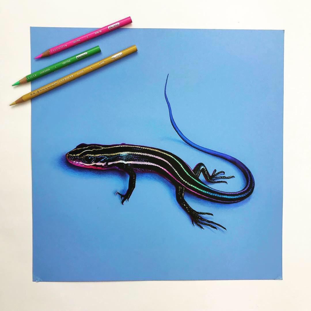 1080x1080 Gave This Guy Some Extra Pops Of Color What Do You Think