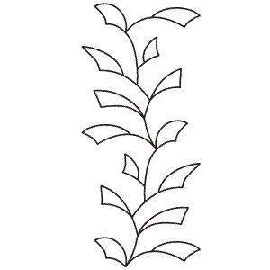 Ginkgo Leaf Drawing