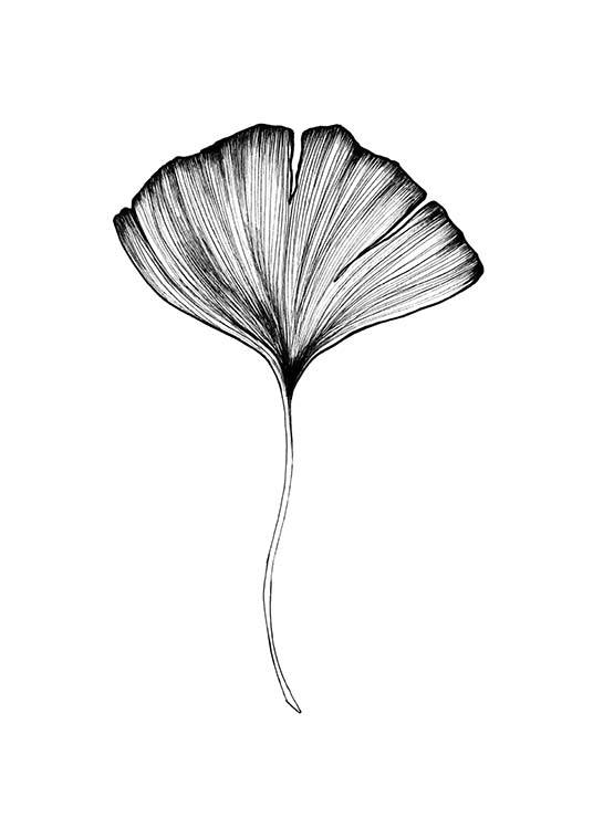 536x750 Ginkgo Leaf Poster