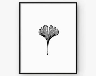 340x270 Ginkgo Drawing Etsy