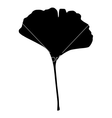 380x400 Ginkgo Leaf Vector Image On Art Projects Leaves Vector, Leaf