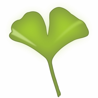 320x320 Hd Ginkgo Leaf