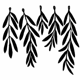 320x320 Hd Hand Drawn Ginkgo Leaf