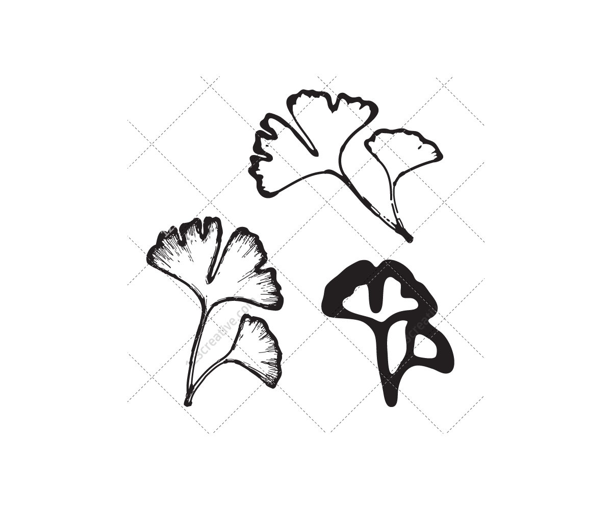 1200x1000 Sketch Leaf Vector Pack