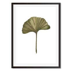 250x250 Watercolour Ginkgo Leaf Wall Art Print Mode Prints