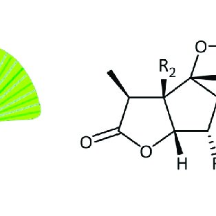 314x314 A Ginkgo Leaf