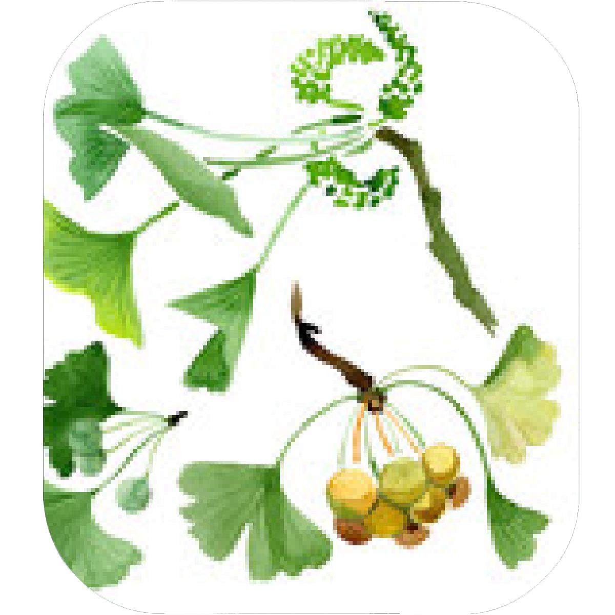 1200x1200 Designs Mein Mousepad Design Mousepad Selbst Designen