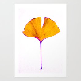 264x264 Ginkgo Biloba Art Prints