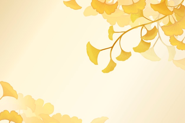 626x417 Ginkgo Leaf Vectors, Photos And Free Download