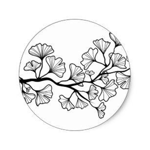 307x307 Ginkgo Tree Gifts On Zazzle Au