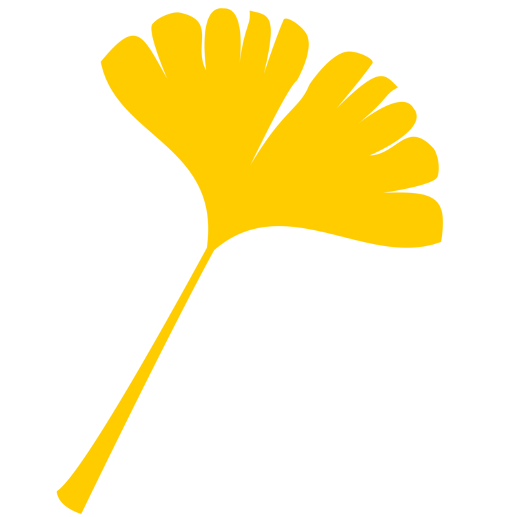 750x750 Ginkgo Biloba Autumn Leaf Color Computer Icons Maple Leaf Cc0