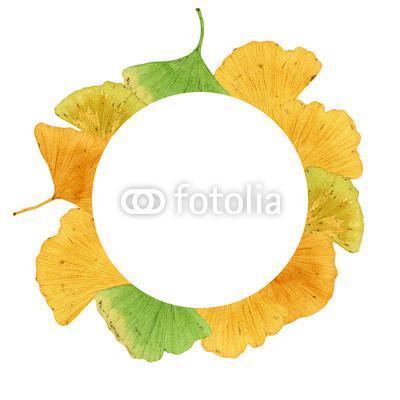 400x400 Hand Drawn Watercolor Frame Of Ginkgo Biloba Leaves, Isolated