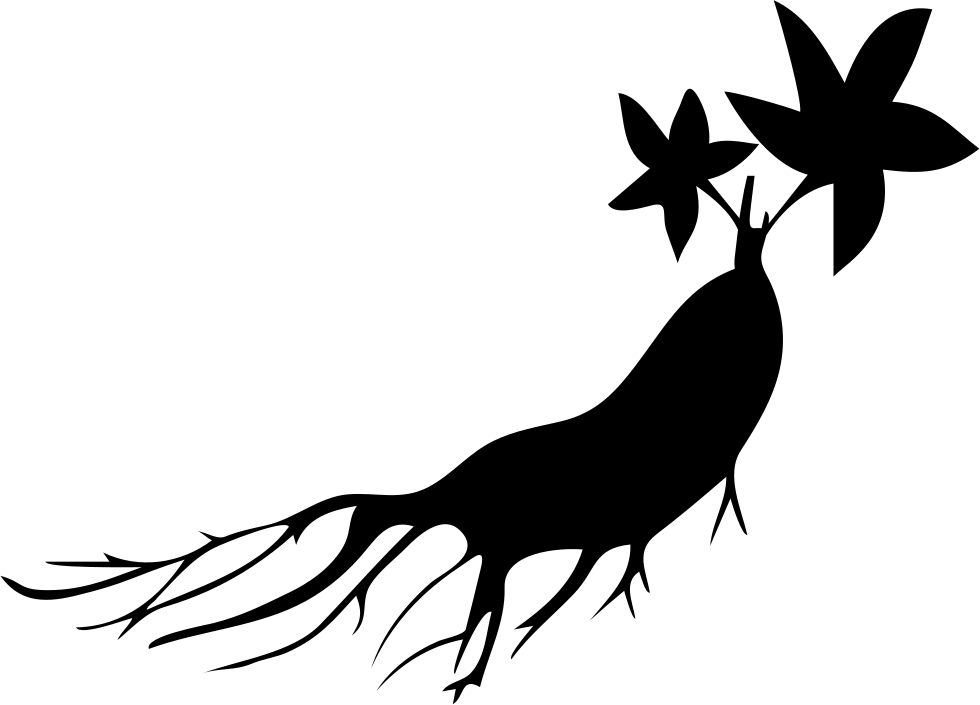 980x705 Ginseng Png Icon Free Download