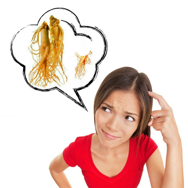 600x600 Panax Ginseng