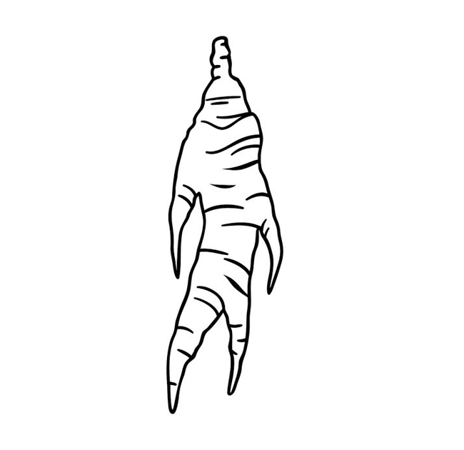 650x630 buy ginseng oolong tea from karma kettle, india