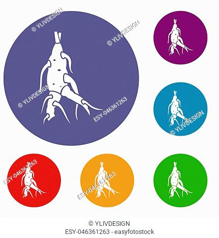 431x470 Drawn Panax Ginseng Stock Photos And Images Age Fotostock