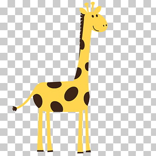 Giraffe Cartoon Drawing