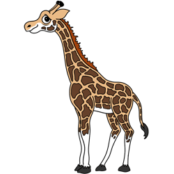250x250 How To Draw A Giraffe