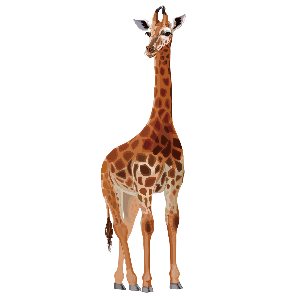 1276x1276 Collection Of Free Drawing Cartoons Giraffe Download On Ui Ex