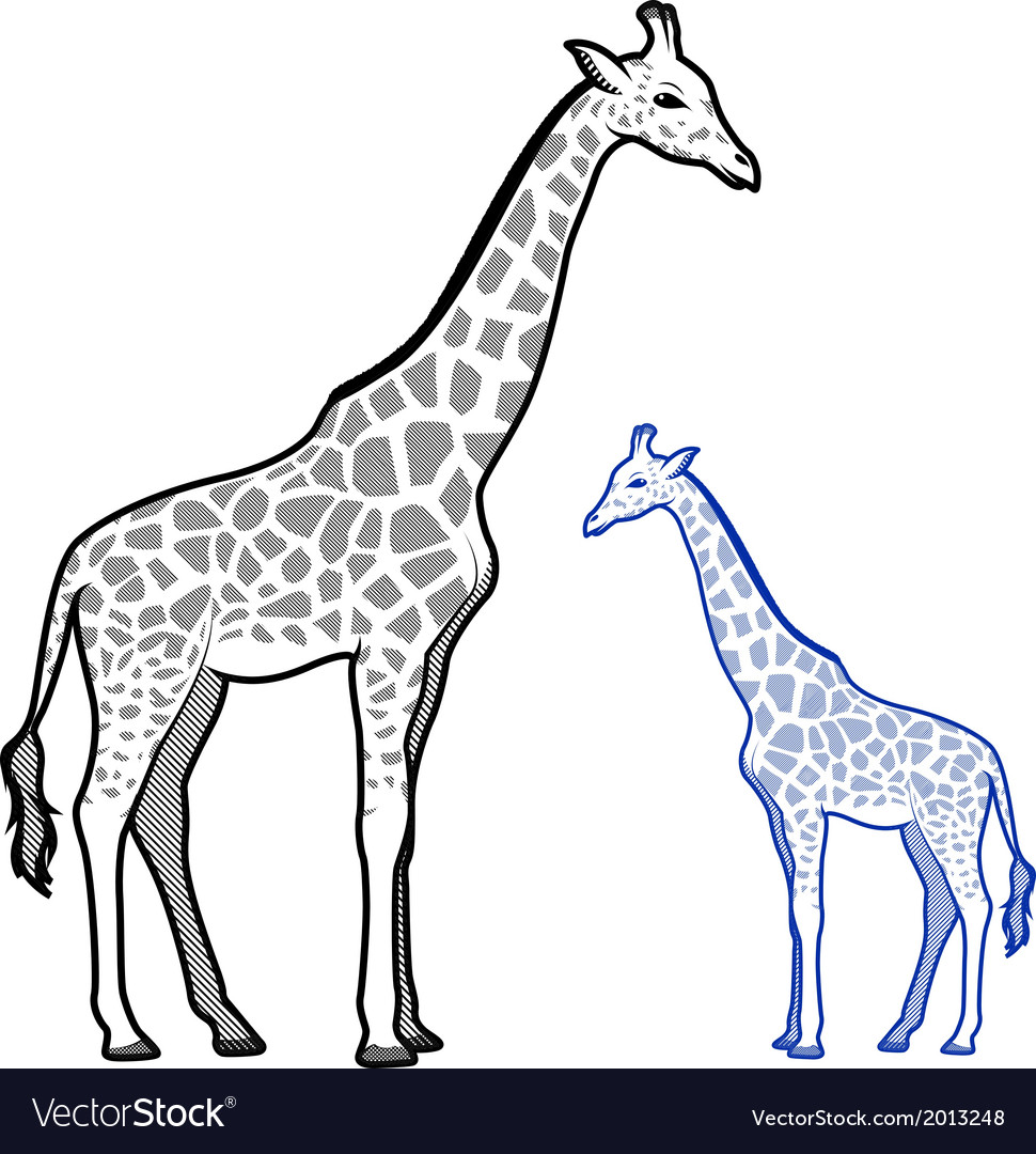 970x1080 Huge Collection Of 'giraffe Line Drawing' Download More Than