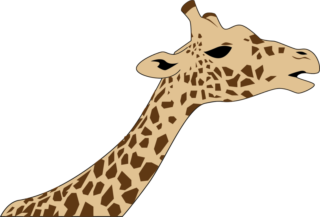 1107x750 Collection Of Free Giraffe Drawing Head Download On Ui Ex