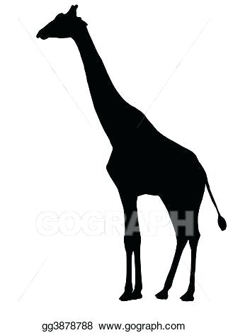 322x470 Drawings Of A Giraffe