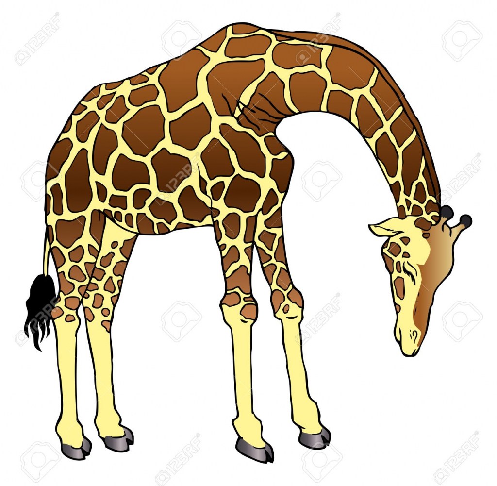 1024x1001 Easy Cute Baby Giraffe Drawing