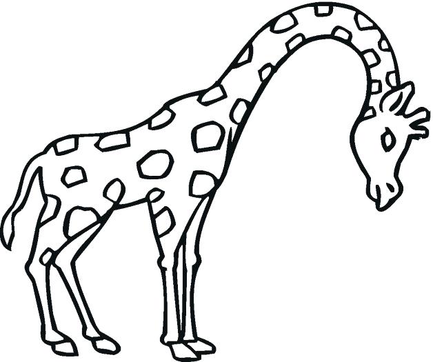 628x525 Giraffe Coloring Pages Easy Cute Giraffe Coloring Sheets Elegant