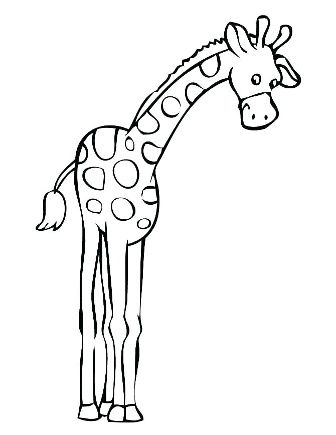 670x867 Giraffe Drawing For Kids