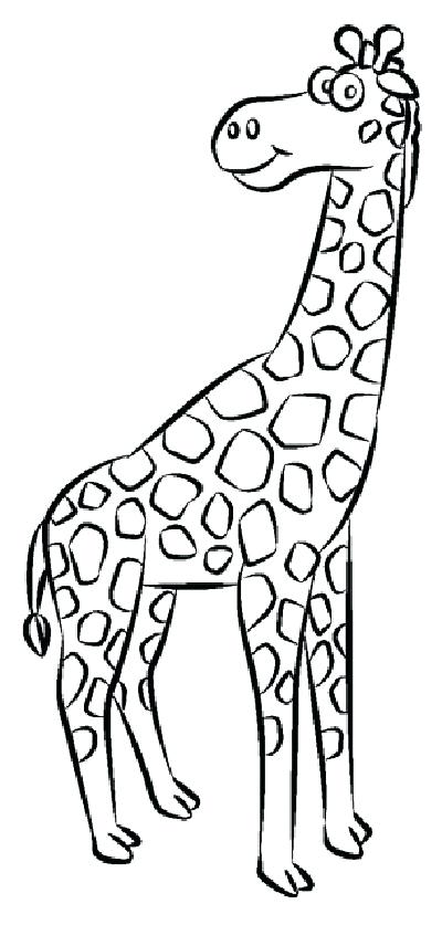 400x837 Giraffe Drawing Kaicook Club