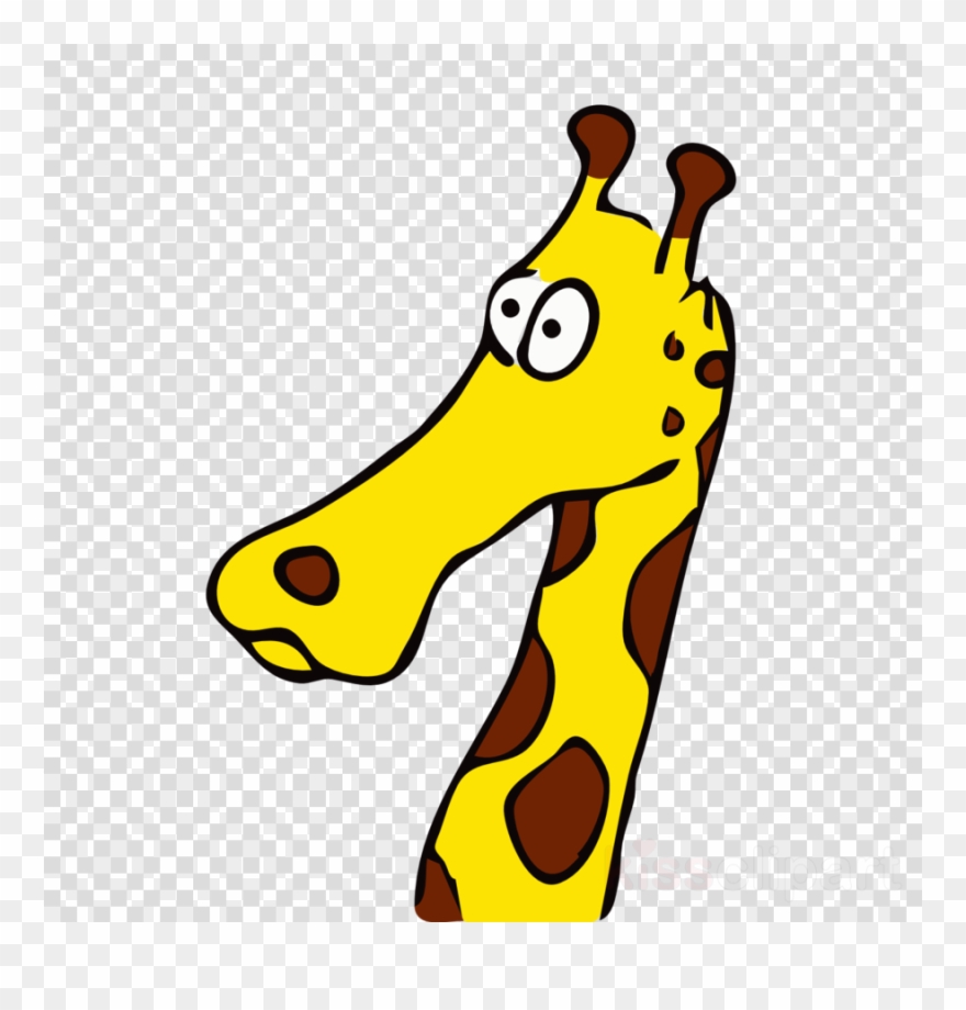 880x920 Download Drawn Giraffe Clipart Giraffe Drawing Clip