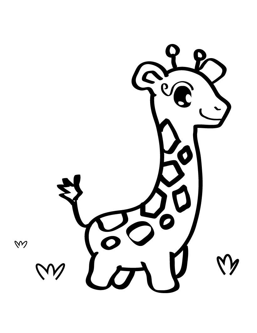 Giraffe Drawing For Kids